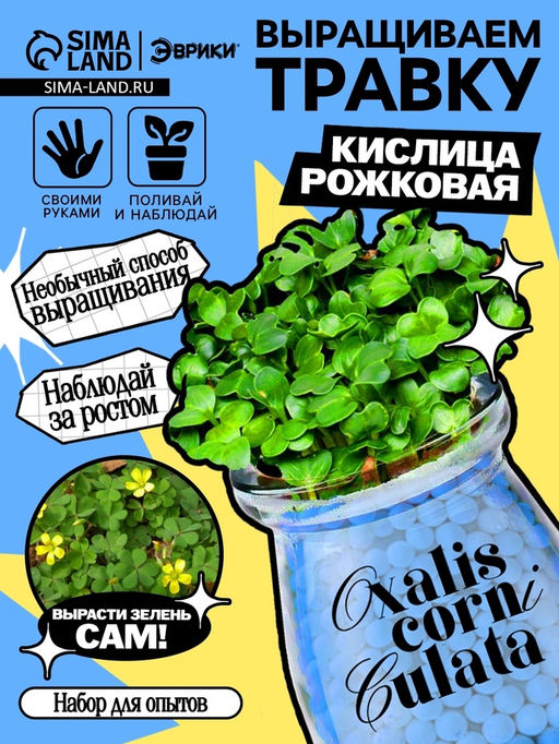 Набор для опытов Выращиваем травку, своими руками, голубой