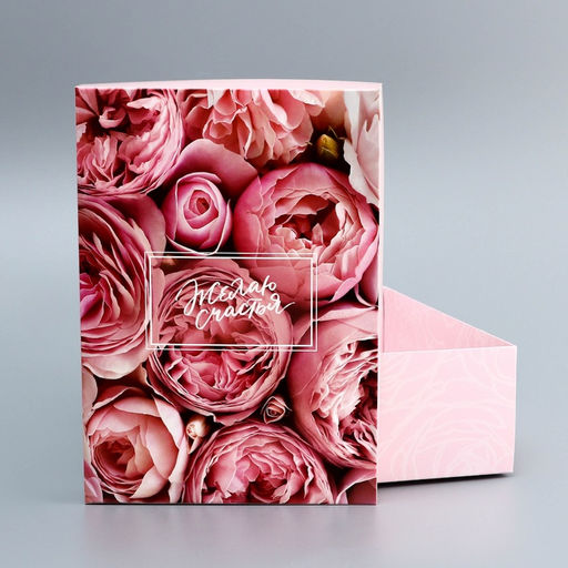 Цена за 5 шт. Коробка складная, крышка-дно, "Желая счастья", 24 х 17 х 8 см без окна