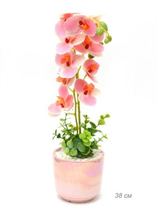 Цветочная композиция Орхидея 38 см / 0213-152 /уп 24/ - Галеонтрейд фото 2