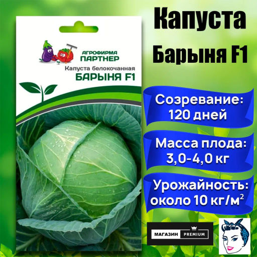 Капуста белокочанная позднеспелая Барыня - Партнер фото 2