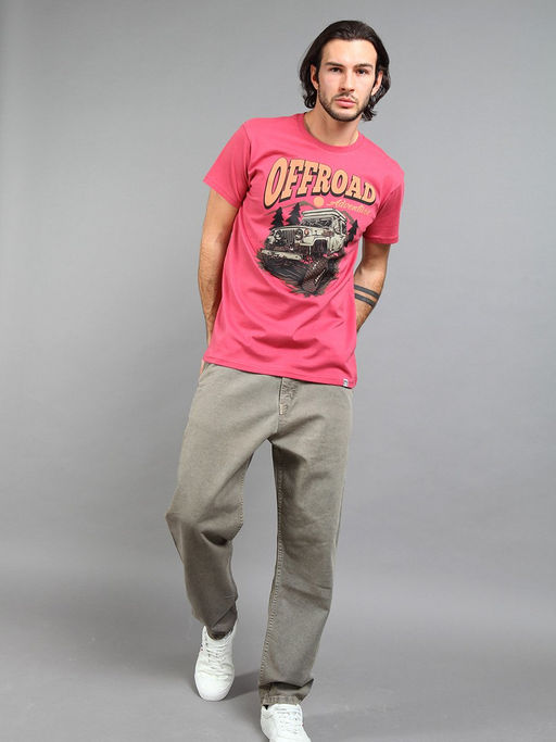 Футболка мужская _ 02285/4x4 - F5 фото 2