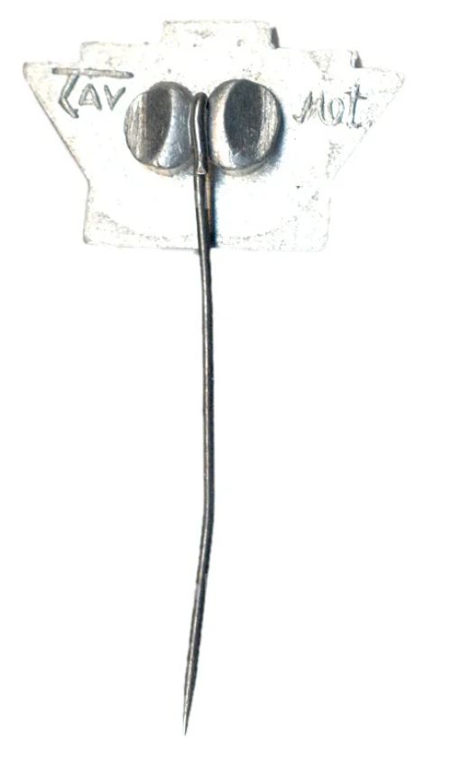 Значок Тарту