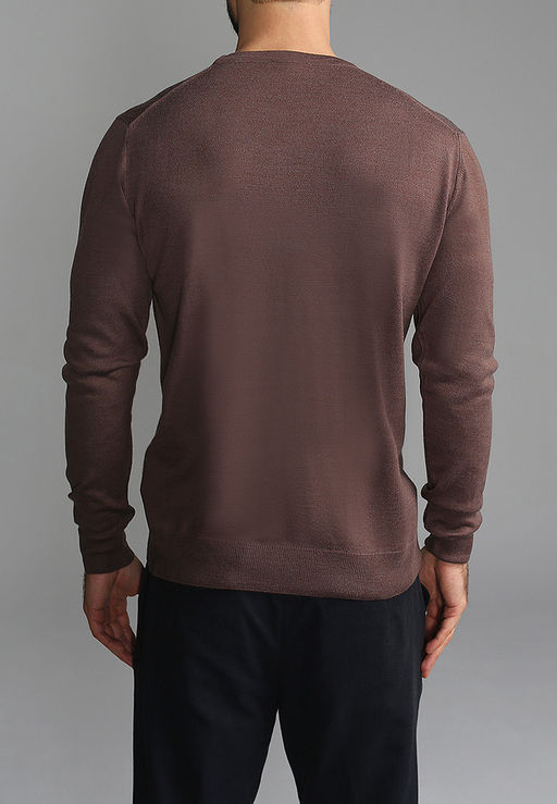 Джемпер мужской GREG G121-EV (какао)  фото 2