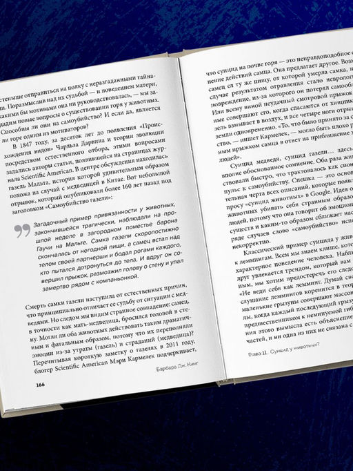 Как животные скорбят. Что чувствуют кошки, слоны, дельфины и другие, теряя близких