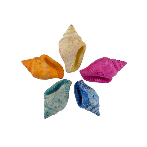Blumentag / Zlatka DRF-009 Ракушки морские 100 г  5 г 1.2 см Nassa Dyed Asstd