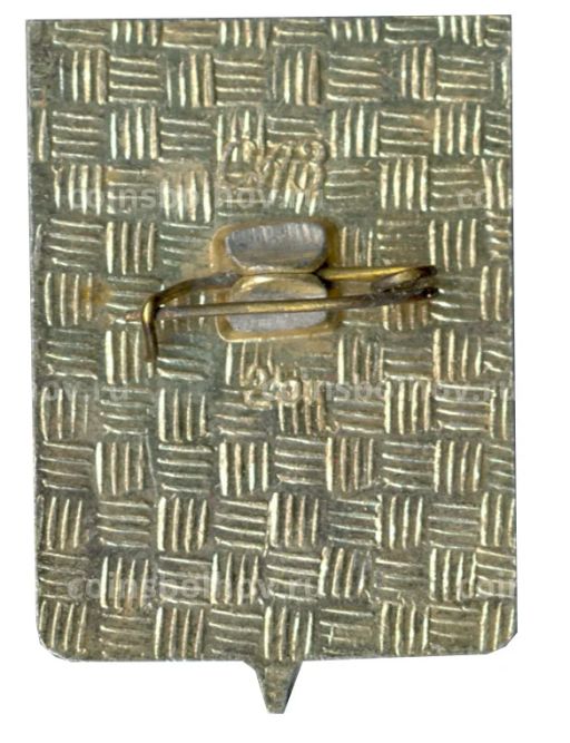 Значок Сычевка