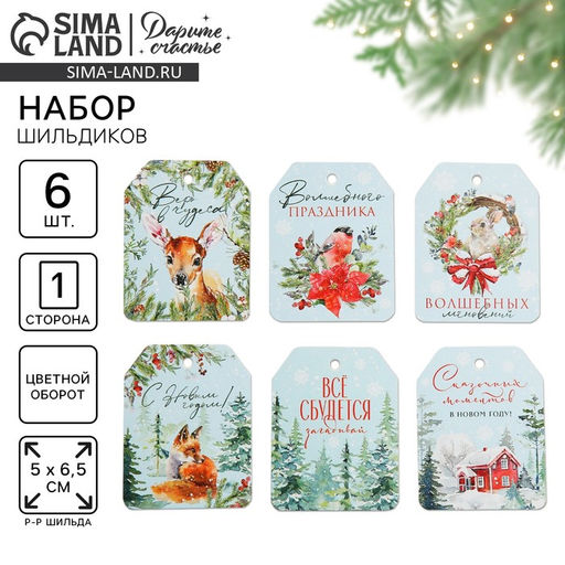 Цена за 10 шт. Шильдик новогодний на подарок «Верь в чудеса», набор 6 штук, 16×24 см