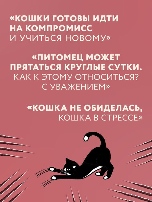 Кошачий закон и порядок. Как найти общий язык с кошкой и не стать жертвой ее капризов