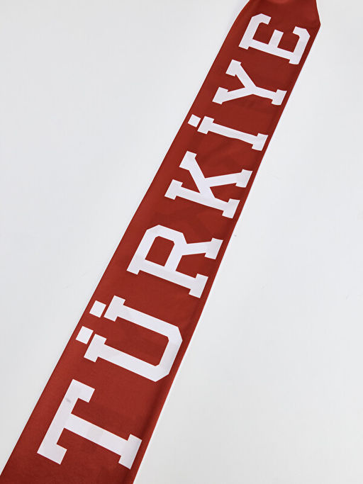 T?rkiye Bask?l? Erkek Atk?