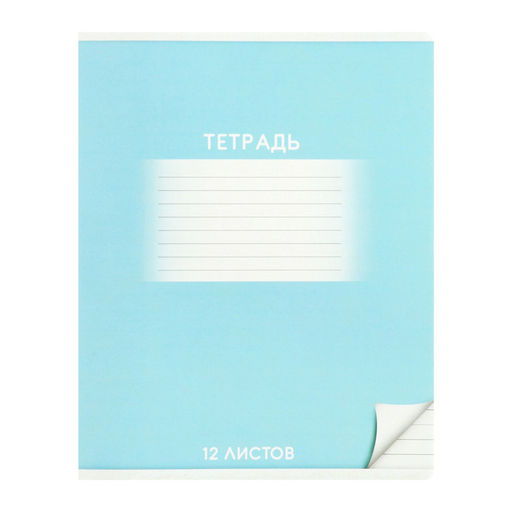 Набор тетрадей 12 листов в линейку Calligrata «Школьная», обложка мелованный картон, микс, 10 шт.