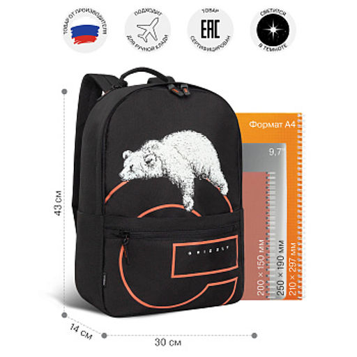 RQL-614-1 Рюкзак - Grizzly фото 14