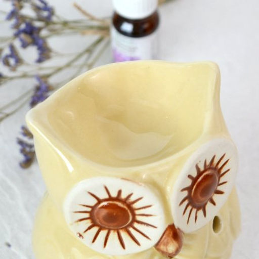 Аромалампа Сова 11 см / 32907 /уп 72/ (Коричневый) - ГалеонТрейд фото 15