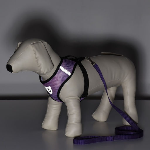 Комплект для собак 5-8 кг, размер M, поводок 120 х 1,5 см, ОШ 30 см, ОГ 39 см - Пижон фото 11