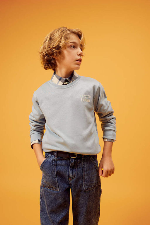 Толстовка с принтом для мальчиков с круглым вырезом на спине - Defacto фото 3