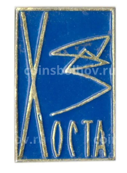 Значок Хоста