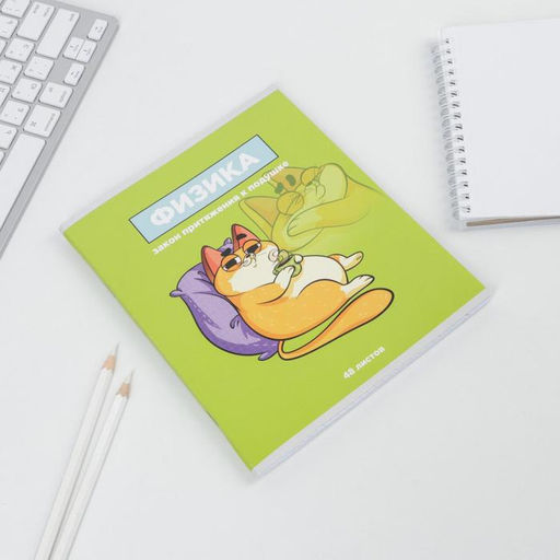 Предметная тетрадь, 48 листов, ПЕРСОНАЖИ, со справочными материалами Физика, обложка мелованный картон 230 гр., внутренний блок в клетку 80 гр., белизна 96% - Artfox study фото 2