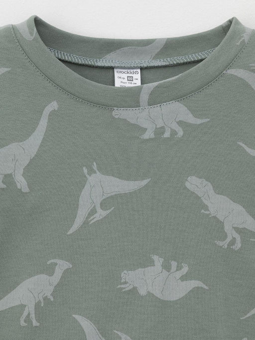 К 1552/полынь,древние динозавры пижама дет