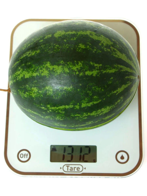 Арбуз Азиль - Партнер фото 4