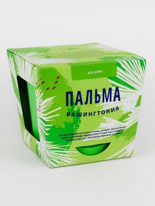 Набор для выращивания "Тысяча листьев", "Пальма Вашингтония"