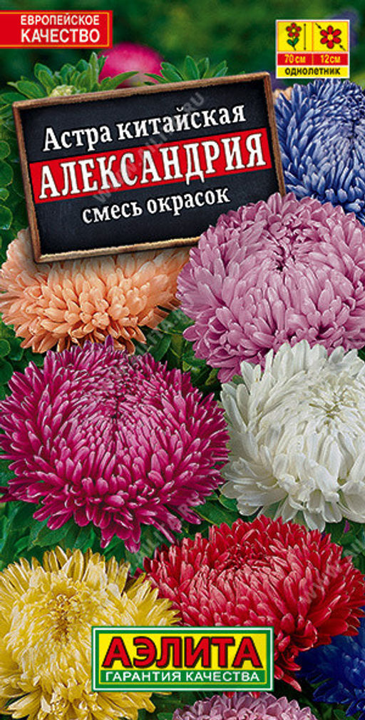 1181A Астра Александрия, смесь сортов 0,2гр