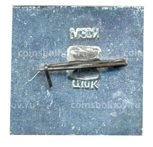 Значок Коломенское