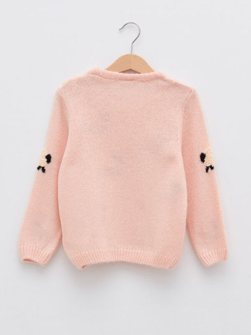 Bisiklet Yaka Desenli Uzun Kollu K?z ?ocuk Triko Kazak - Waikiki фото 2