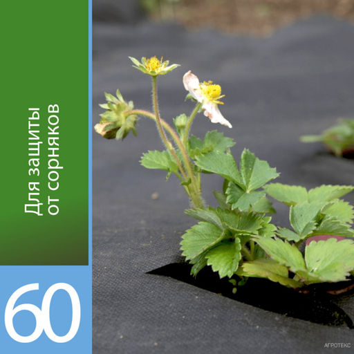 Агротекс 60 (спанбонд) (3,2х10м) черный