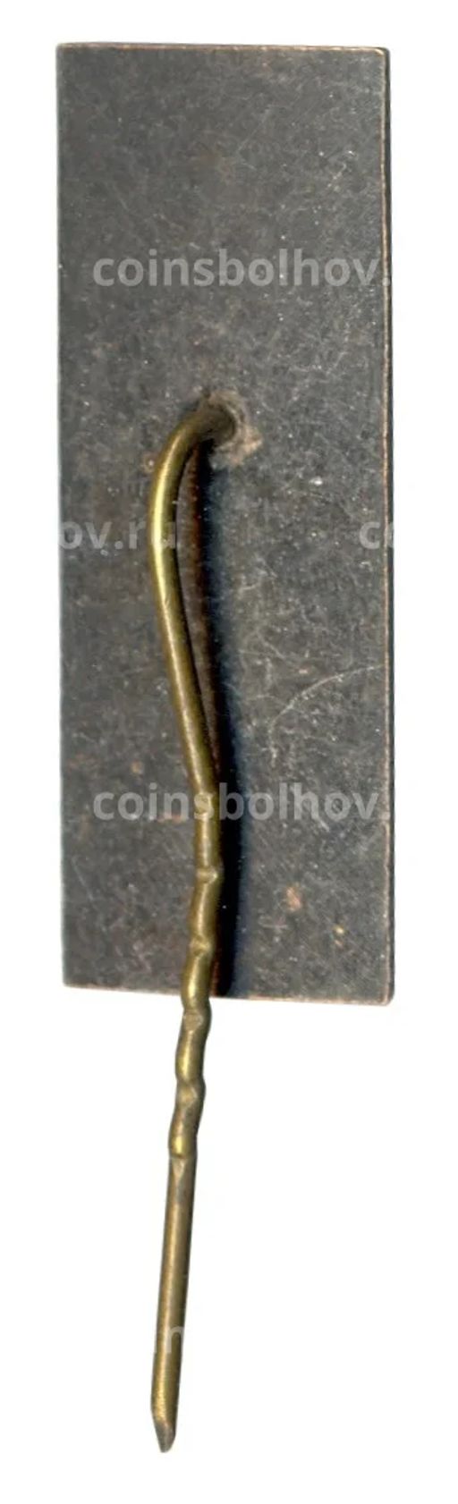 Значок Пирчюпис