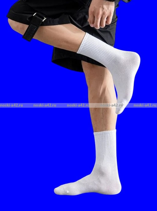 Цена за 10 пар. Байвей высокие мужские носки с высокой резинкой арт. 1208