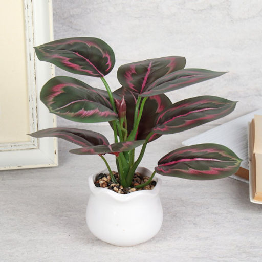 Цветочная композиция Калатея 27 см / SL-6 /уп 48/ - Галеонтрейд фото 7