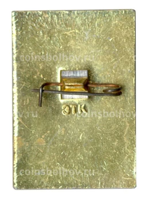 Значок Владимир