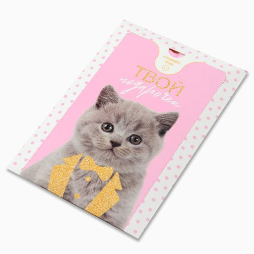 Цена за 2 шт. Бум-открытка «Твой подарочек», шары , 12 х 18.5 см