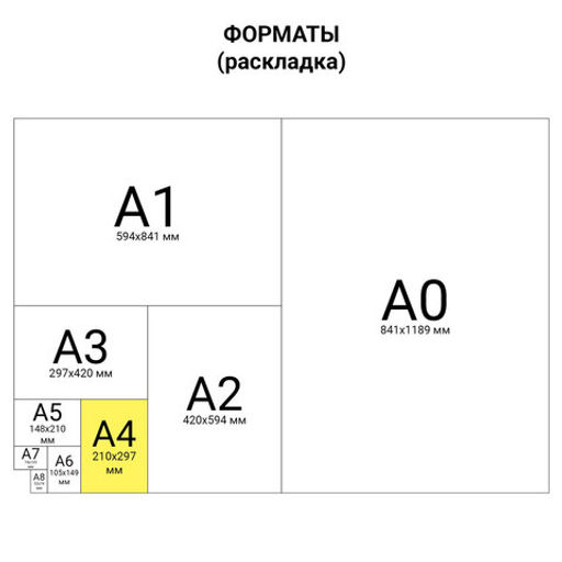 Картон цветной А4 немелованный (матовый), 8 листов 8 цветов, в папке, BRAUBERG, 200х290 мм, "Дельфин"