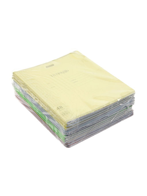 Комплект 12 тетрадей, 48 листов, клетка, 60гр, 12 цветов, пластиковая обложка