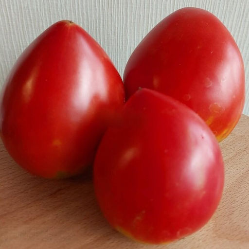 7097Т Томат Японка 10шт