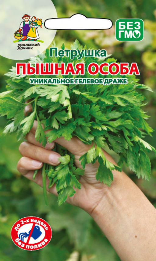Петрушка листовая ПЫШНАЯ ОСОБА (ГЕЛЬ ДРАЖЕ) Яркий пряный аромат! Хорошо отрастает после срезки!