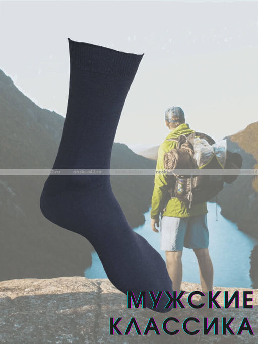 Цена за 10 пар. Легион носки мужские синие