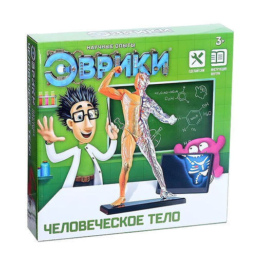 Научный опыт Человеческое тело - Эврики фото 6