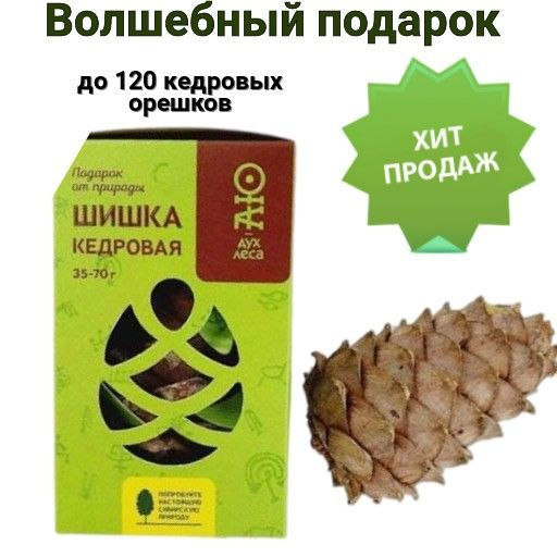 3шт. До 120 кедровых орешков! Шишка сувенирная 7см.