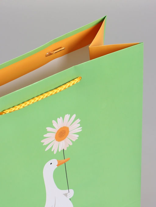 Пакет подарочный ламинированный «Ромашка», 26×12×32 см