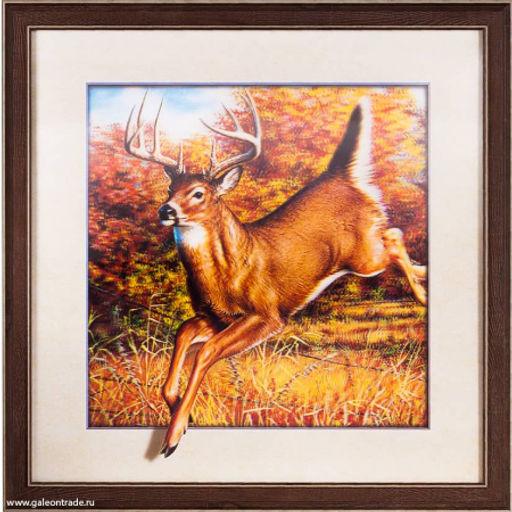 Картина 5D 40х40 005 Косуля /ZR8210H-222411/ - Галеонтрейд фото 2