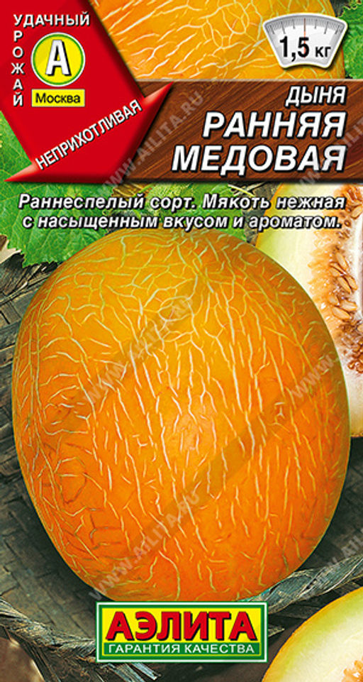1982A Дыня Ранняя медовая 1гр