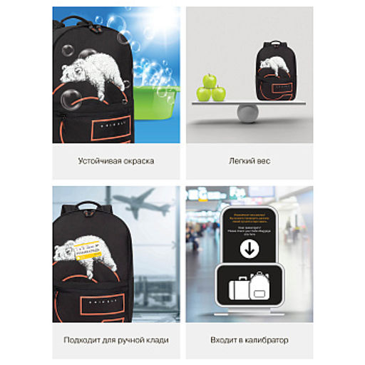 RQL-614-1 Рюкзак - Grizzly фото 19