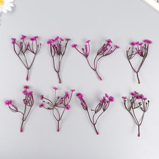 Искусственное растение для творчества «Цикорий», набор 8 шт., фуксия, 10 см