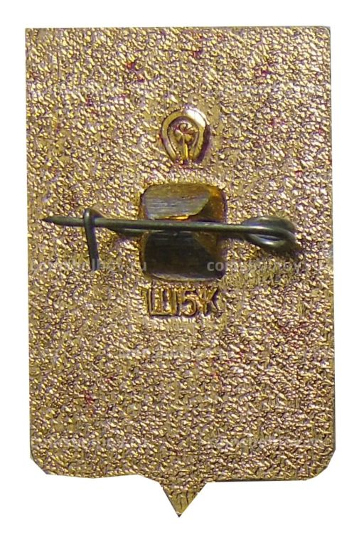 Значок Ростов на Дону