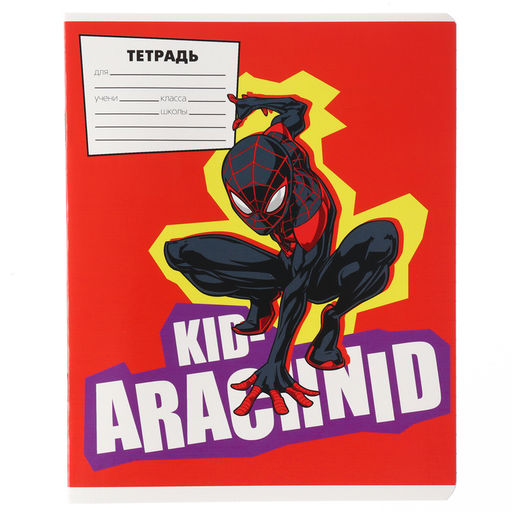 Цена за 20 шт. Тетрадь в линейку 18 листов, 5 видов МИКС, обложка мелованный картон,