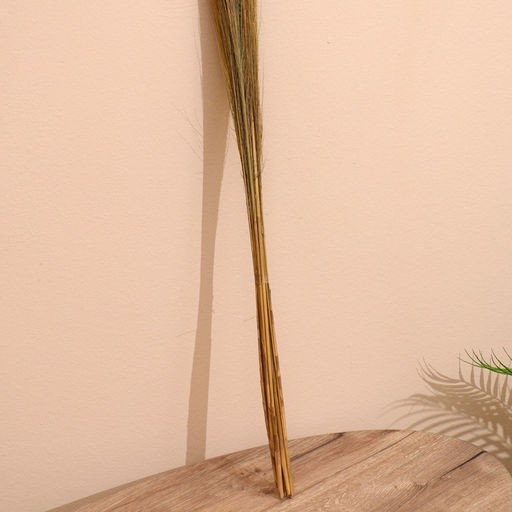 Сухоцвет натуральный, набор, 120 см