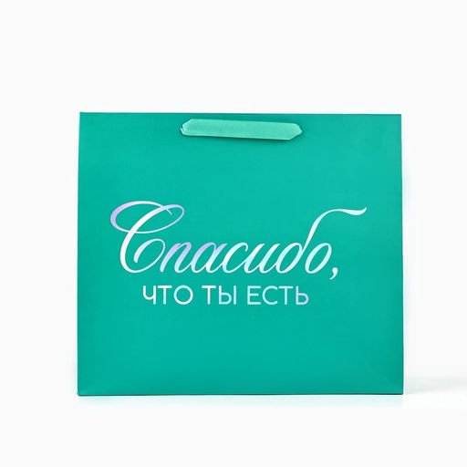 Пакет подарочный «Спасибо, что ты есть», голография, M 30×9×26 см