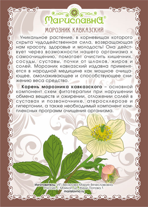 Морозник Кавказский корень молотый + мерная ложечка 90 г - Мариславна фото 2