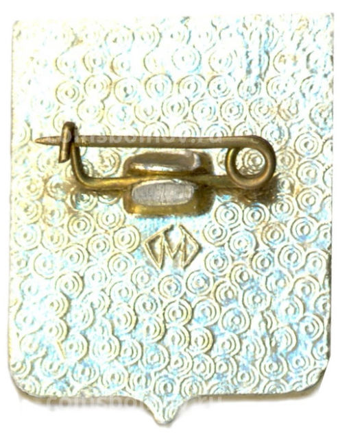 Значок Владимир